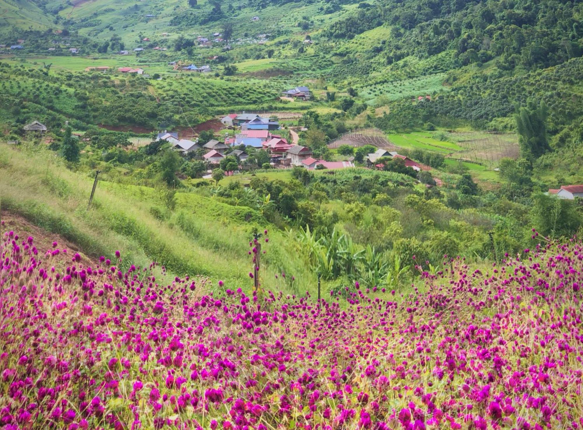 Muong Sang Farmstay Moc Chau Exterior foto